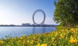 潍坊摩天轮渤海之眼吃瓜视频 热门大瓜往期内容,热门吃瓜视频大揭秘，往期精彩内容大盘点